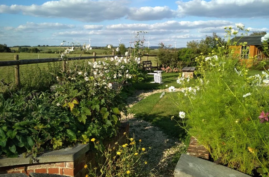 Zakaj moj otrok z avtizmom ne govori?